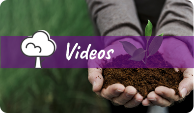 Videos guía