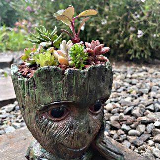 Maceta Groot  15,5x14.5 cm